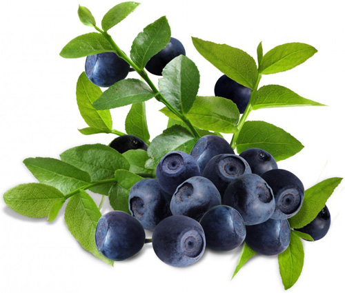 护眼食物：蓝莓